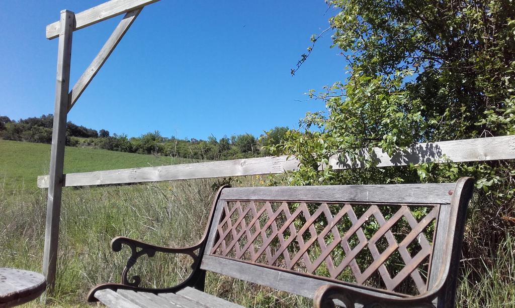 Gites "Entre Les Vignes" Tourreilles Exterior foto