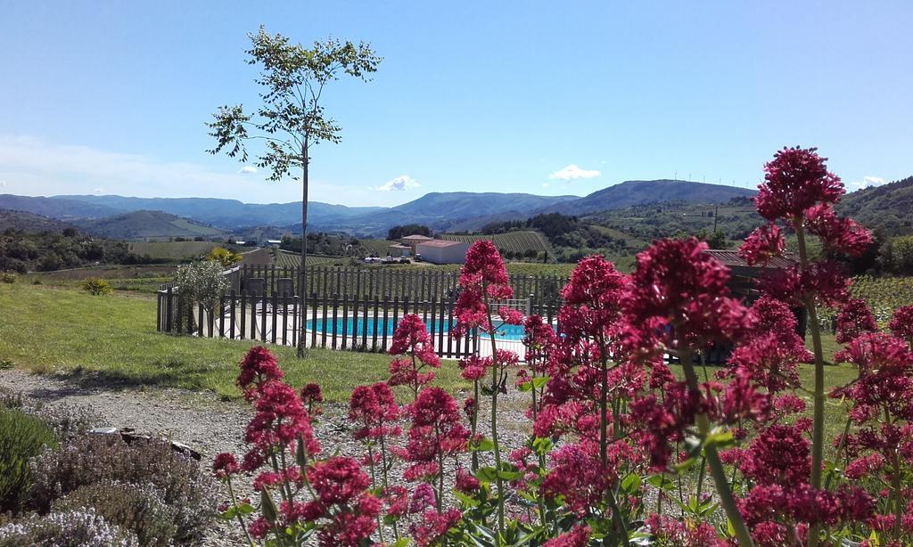 Gites "Entre Les Vignes" Tourreilles Exterior foto