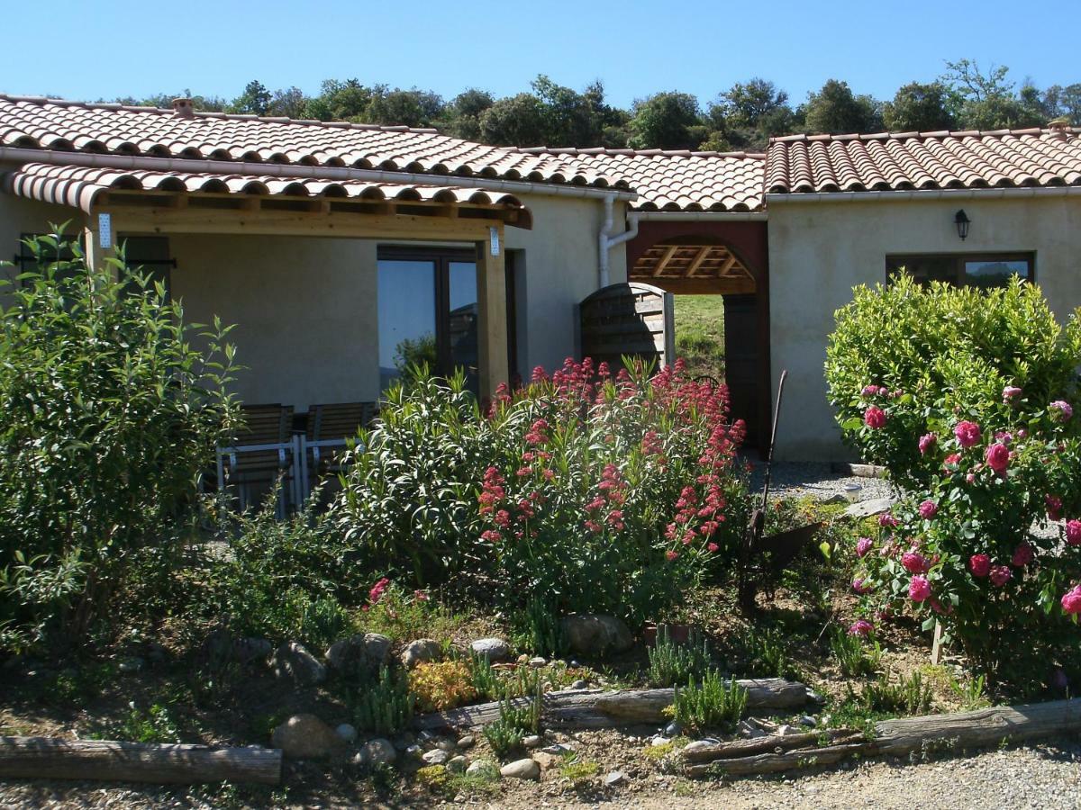 Gites "Entre Les Vignes" Tourreilles Exterior foto